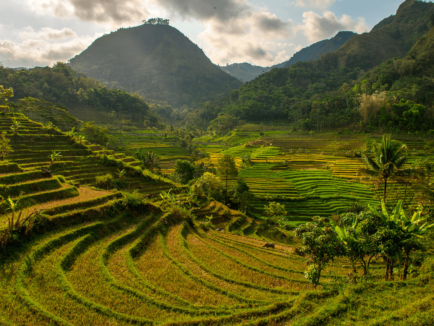 Top Indonesia Holidays - Luxury Travel Designer