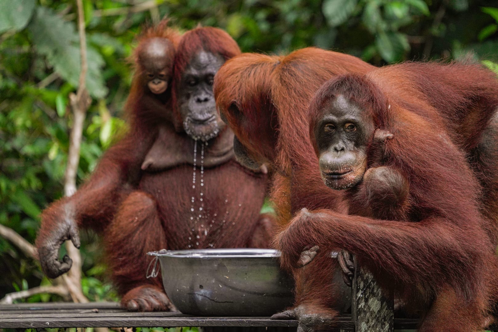 Top Indonesia Holidays - Luxury Travel Designer
