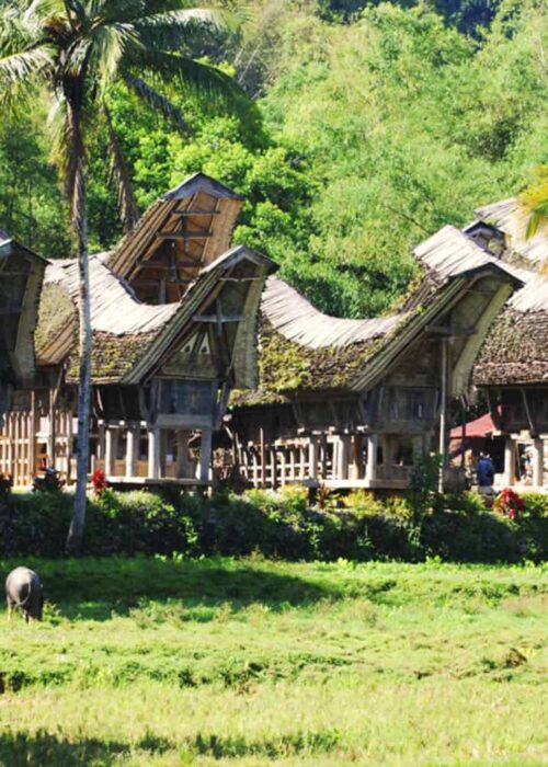 Tongkonan House at Kete Kesu World Heritage Tongkonan House at Kete Kesu World Heritage