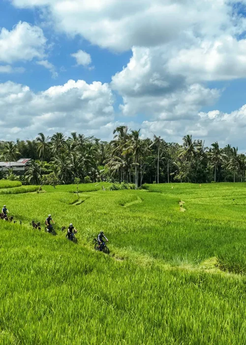 Cycling Sebatu Drone Cycling Sebatu Drone